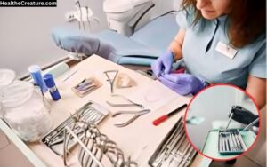 Why High-Quality Dental Tools Are Essential in Modern Dentistry