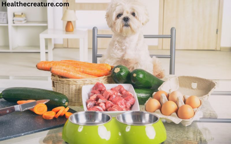 WellHealthOrganic Organic Pet Food Benefits