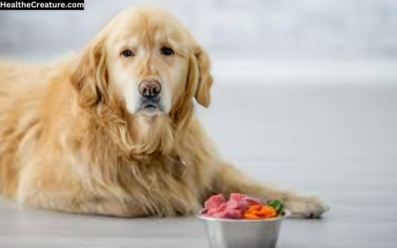 WellHealthOrganic Organic Pet Food Benefits