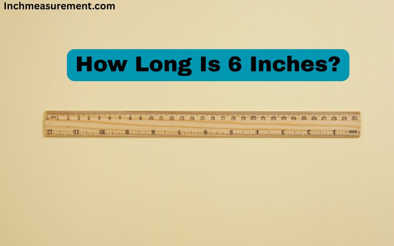 How Long is 6 inches