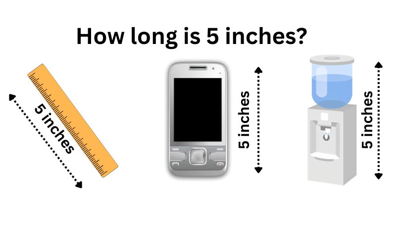 How long is 5 inches?